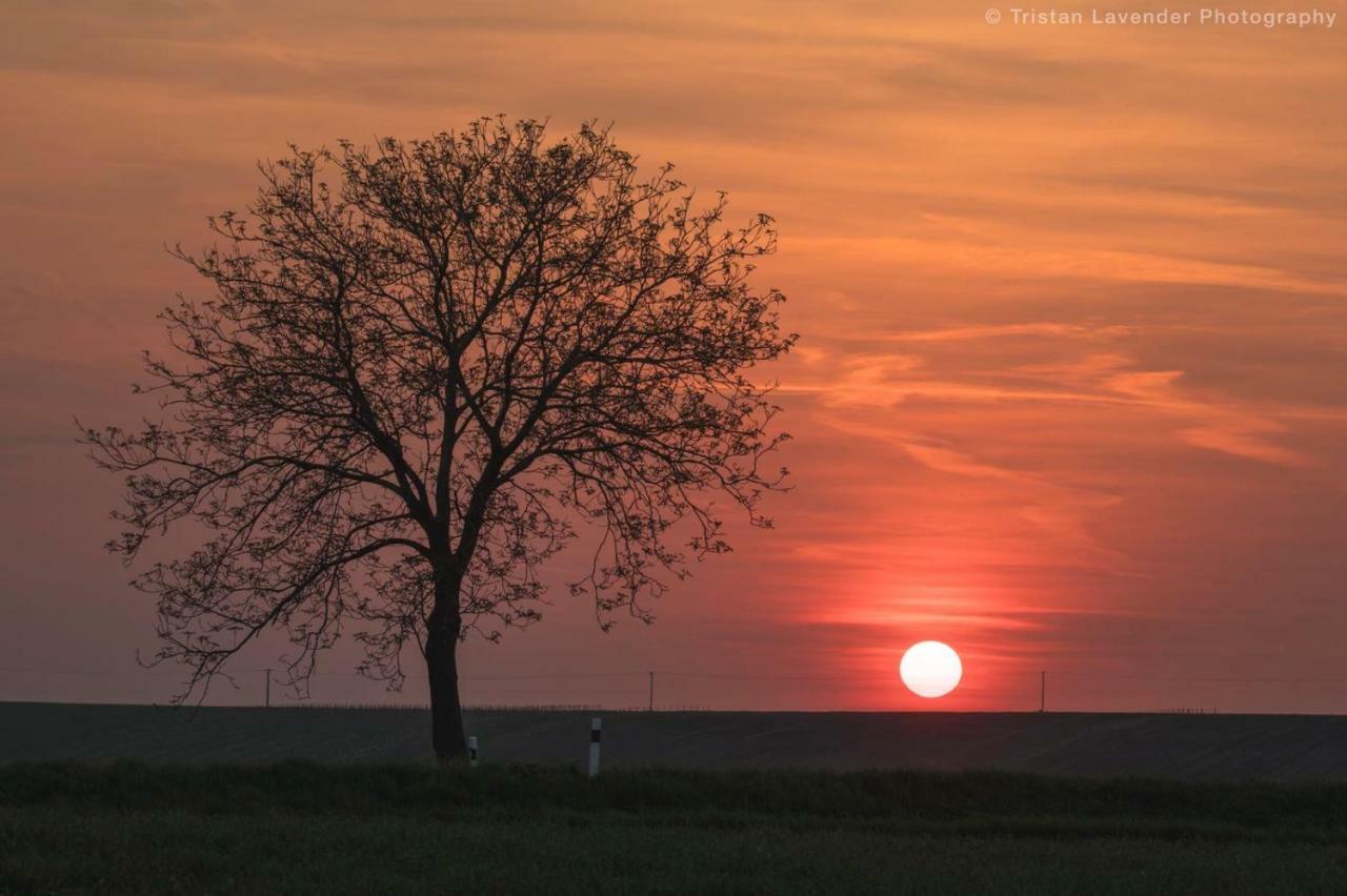 Moravske Toskansko Stavesice Exteriér fotografie