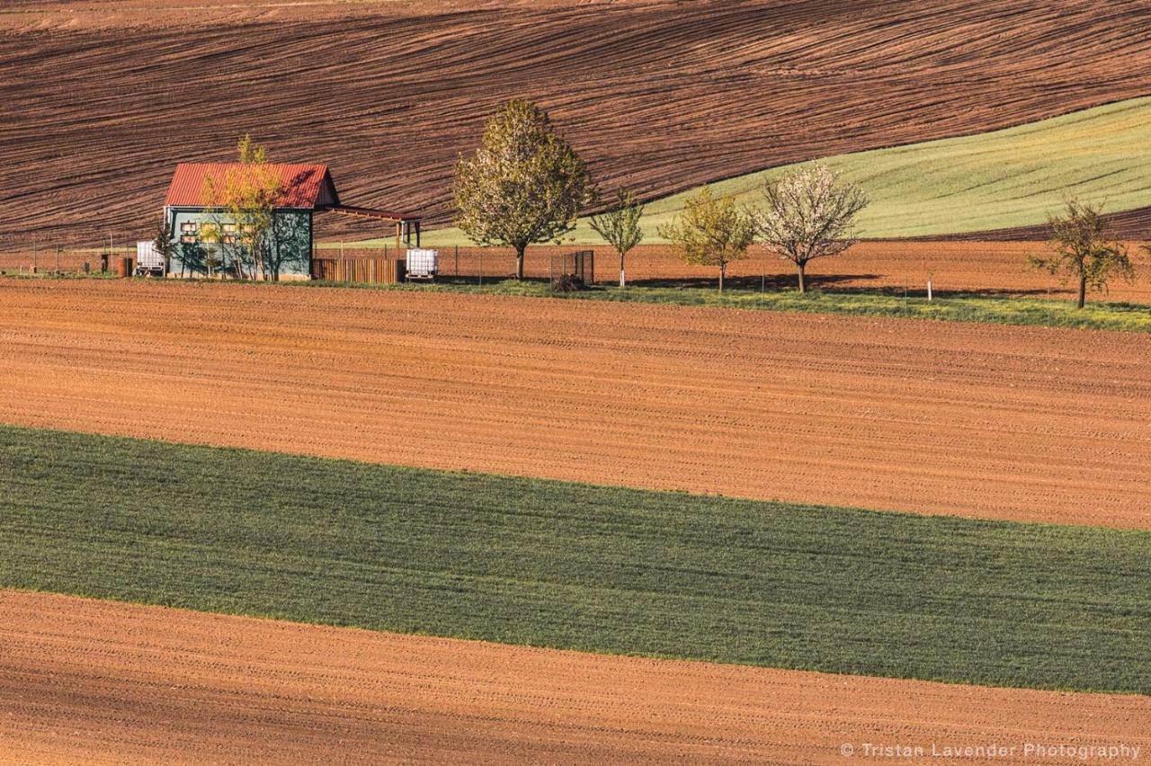 Moravske Toskansko Stavesice Exteriér fotografie