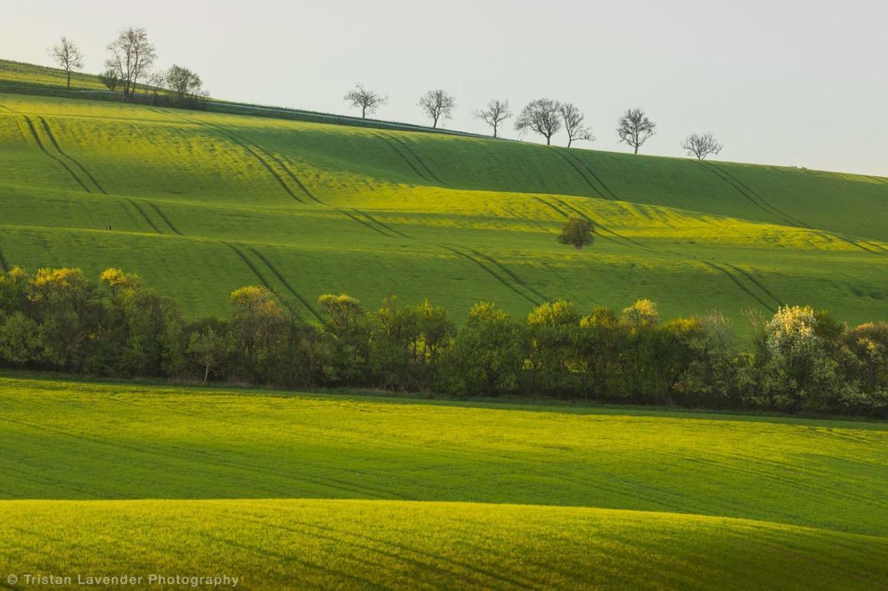 Moravske Toskansko Stavesice Exteriér fotografie