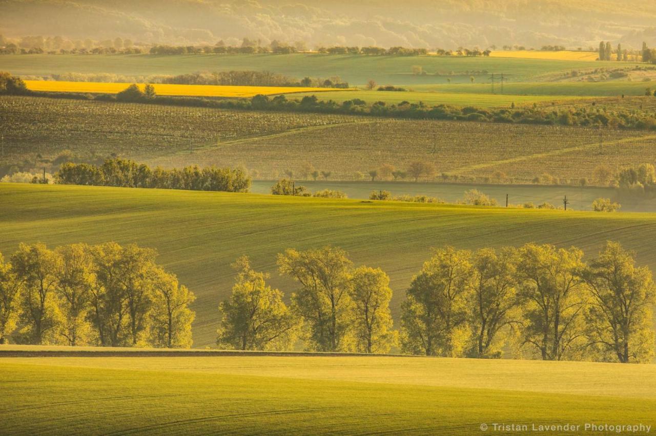 Moravske Toskansko Stavesice Exteriér fotografie